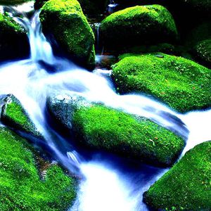 欧美六十路老妇
