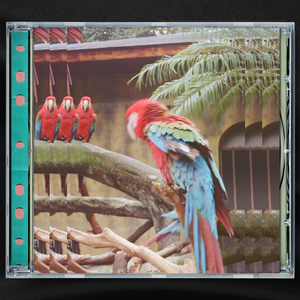 欧美六十路老妇
