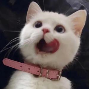 欧美六十路老妇
